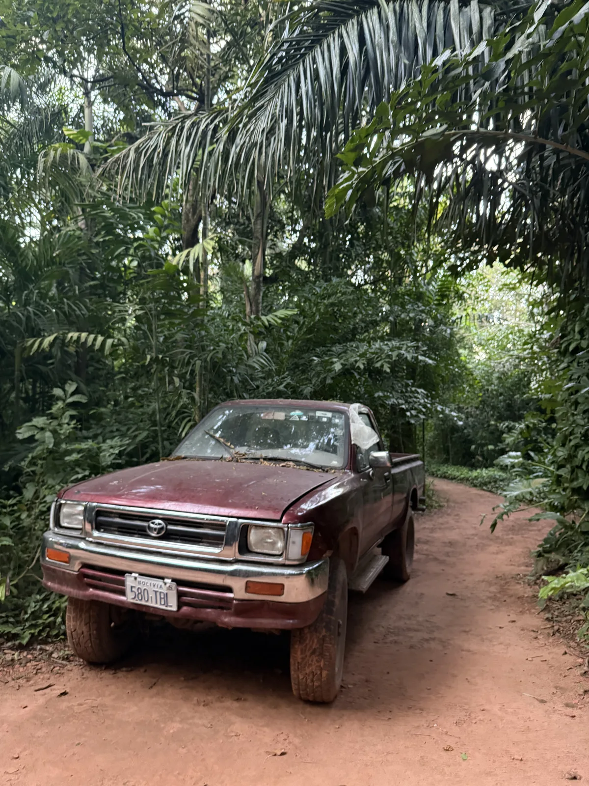 Another route through the greenery