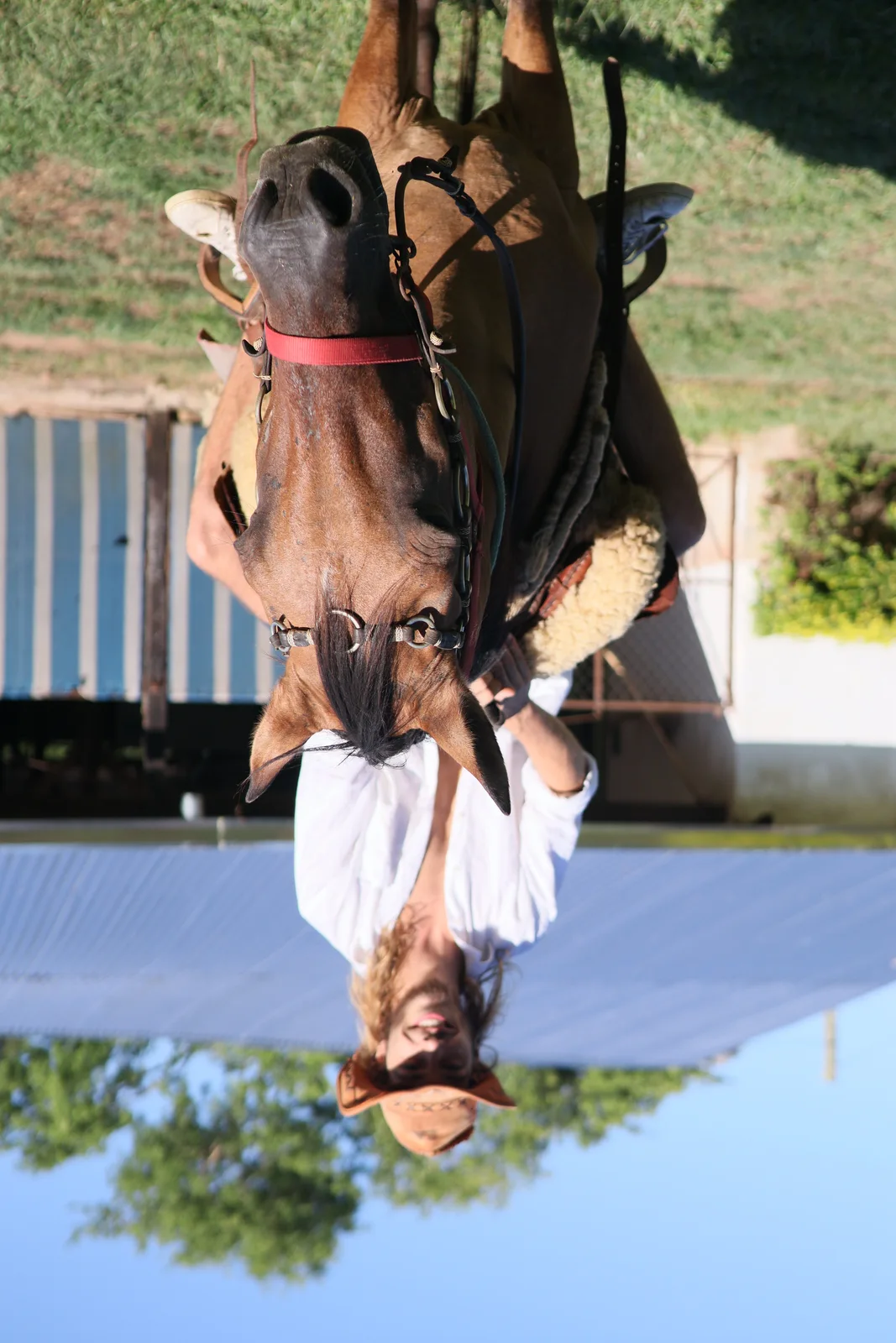 Outside, on horseback