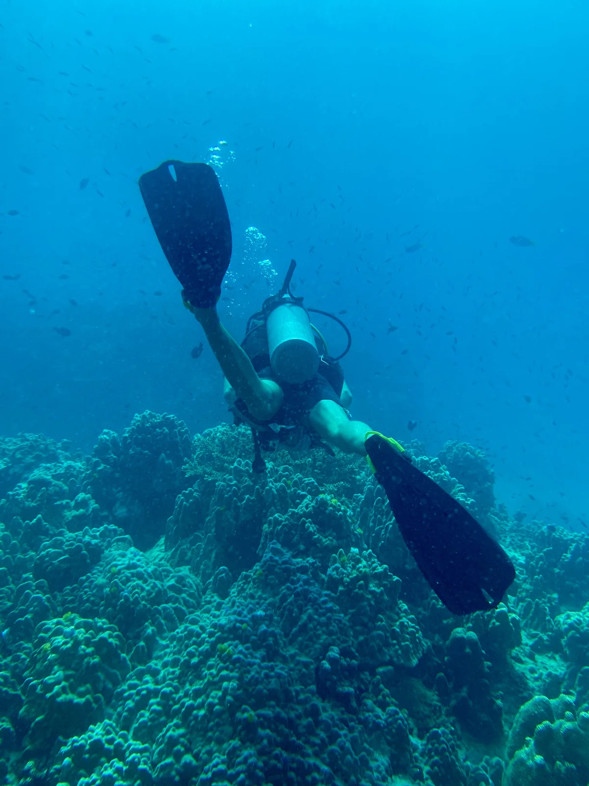 Another world underwater